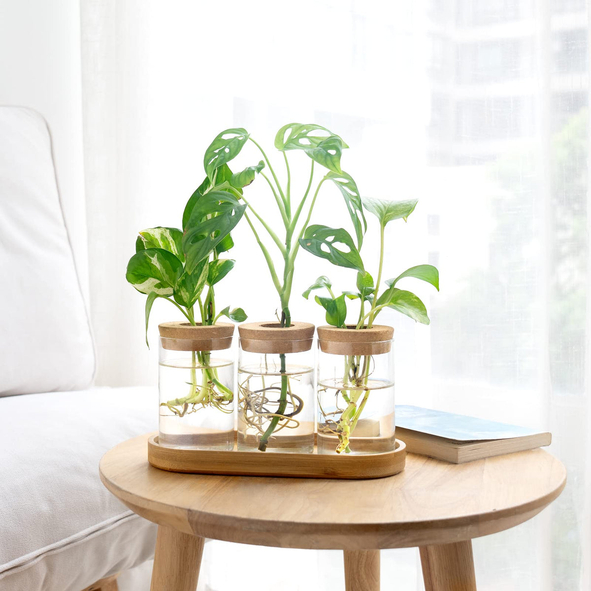 Dahey gift-ready propagation vase set for plant lovers