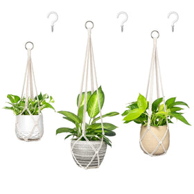 Dahey macrame 35-inch cream hanger showcasing large pot display