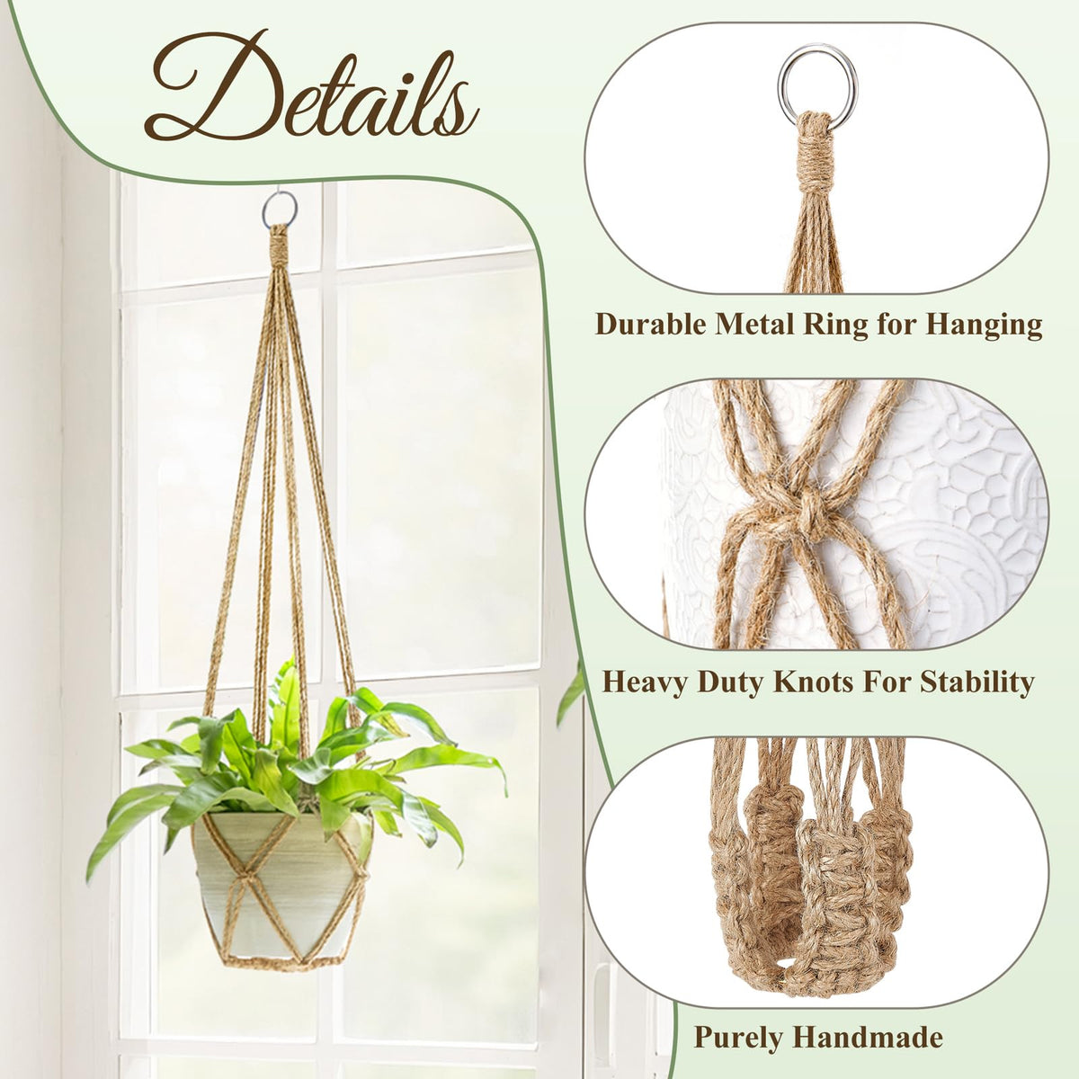 Indoor display using Dahey macrame hanger in brown.