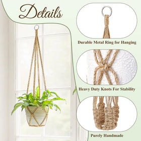 Indoor display using Dahey macrame hanger in brown.