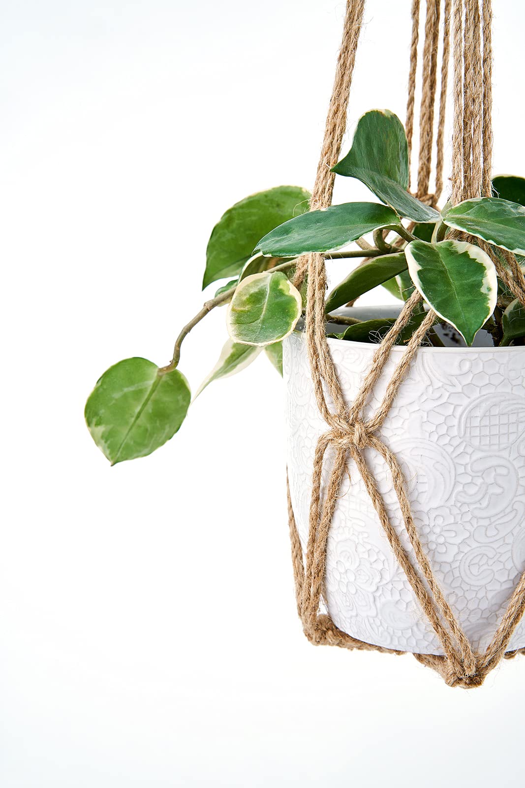 Supports pots of different sizes with Dahey macrame hanger set.