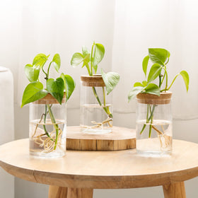 Dahey micro landscape vase showcasing tiny stems
