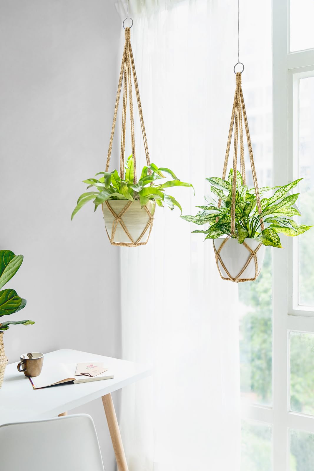 Dahey pot compatibility holds pots up to 10 inches for flexible displays