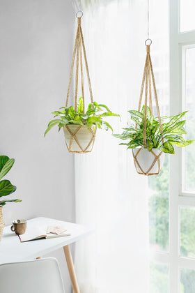 Dahey pot compatibility holds pots up to 10 inches for flexible displays