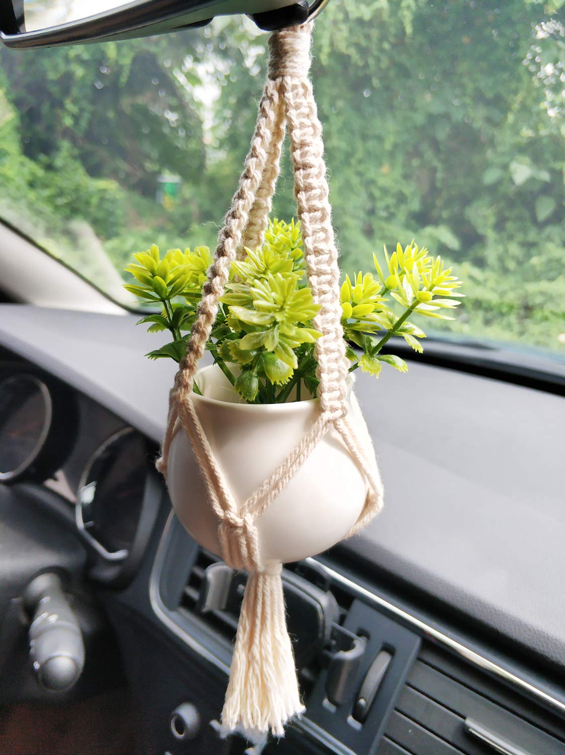 Dahey rear-view mirror decor plant adds a playful touch