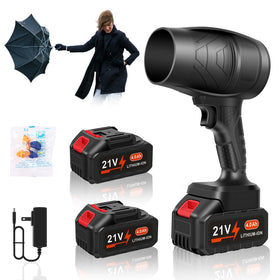 DailySee Leaf Blower Cordless with turbo 32000rpm for fast cleanup.