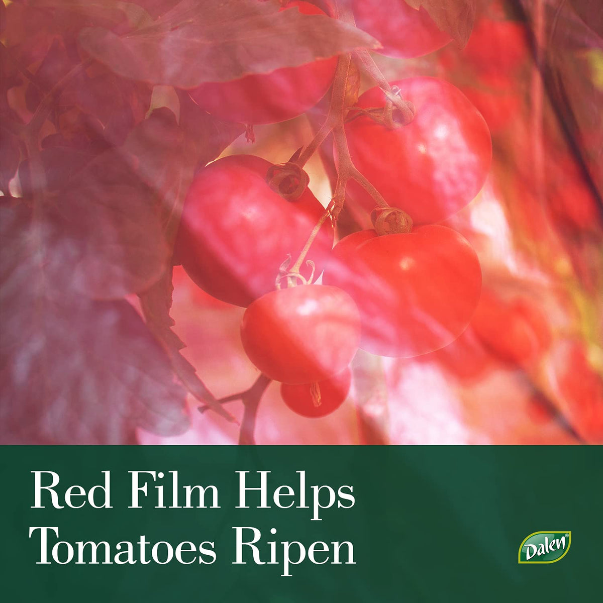 Dalen Better Reds easy kit for DIY installation on a tomato setup