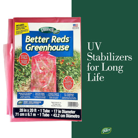Dalen Better Reds acts as pest barrier protecting early tomato development