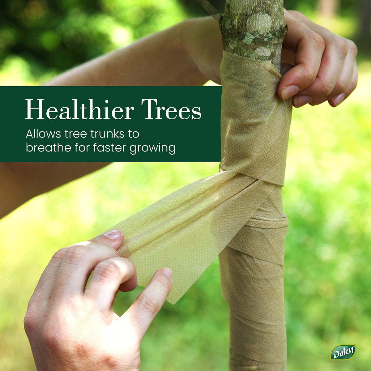 Dalen Gardeneer weather shield protecting a sapling in garden