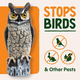 Dalen owl decoy detailed texture closeup, realistic look helps scare birds safely.
