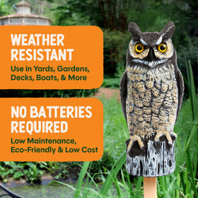 Dalen weather-resistant owl has durable coating that endures rain and sun.