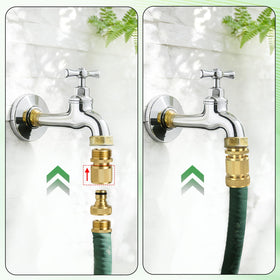 Dalmbox brass close-up emphasizing durable finish and weather resistance for outdoors.