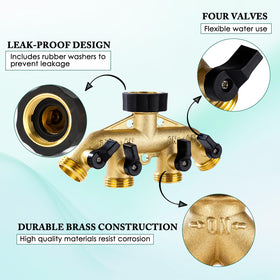 Dalmbox four valves open or closed for independent water control.