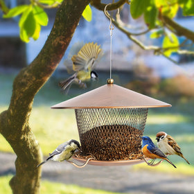 DALOHOMI backyard bird feeder makes a thoughtful gift for gardens and patios.