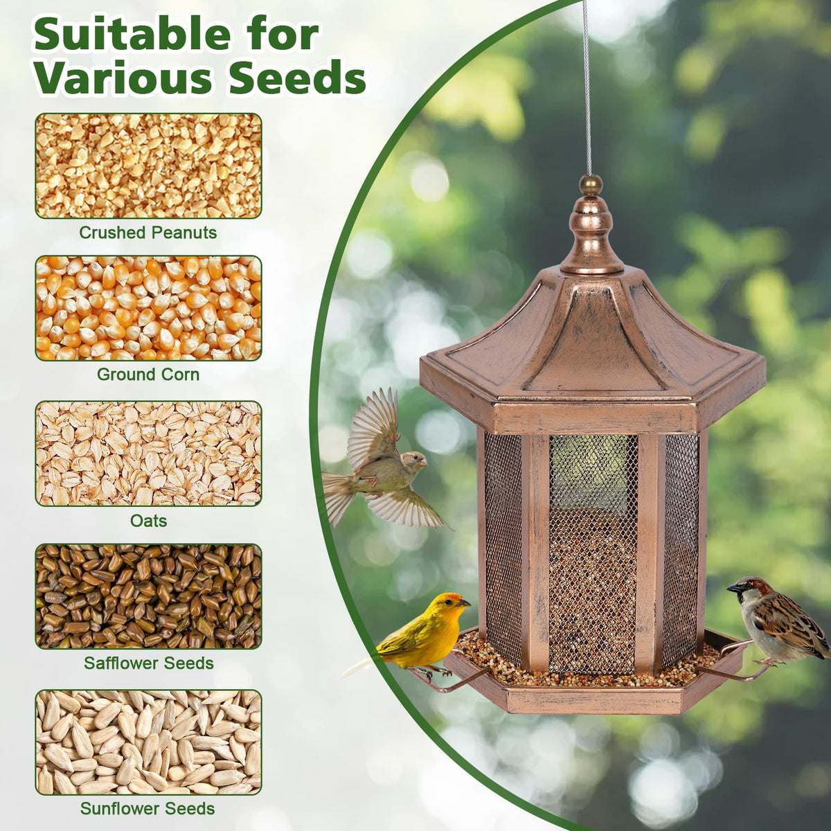DALOHOMI garden gift idea for birdwatchers and patio décor lovers