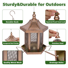 DALOHOMI squirrel-proof feeder shows 3lb capacity for mixed seeds