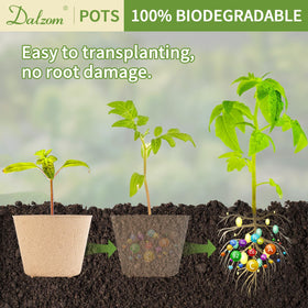 4-inch top diameter provides ample space for young roots.