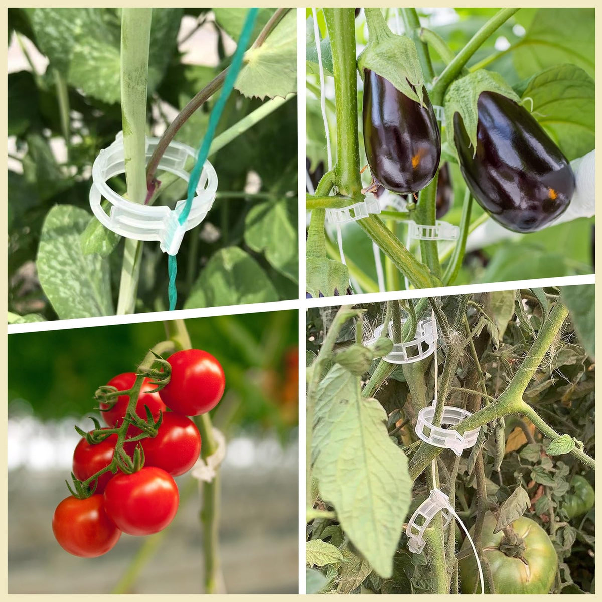 Dalzom durable garden clips provide long-lasting plant support