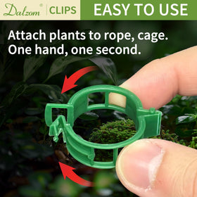 Dalzom green plant support clips blend with foliage