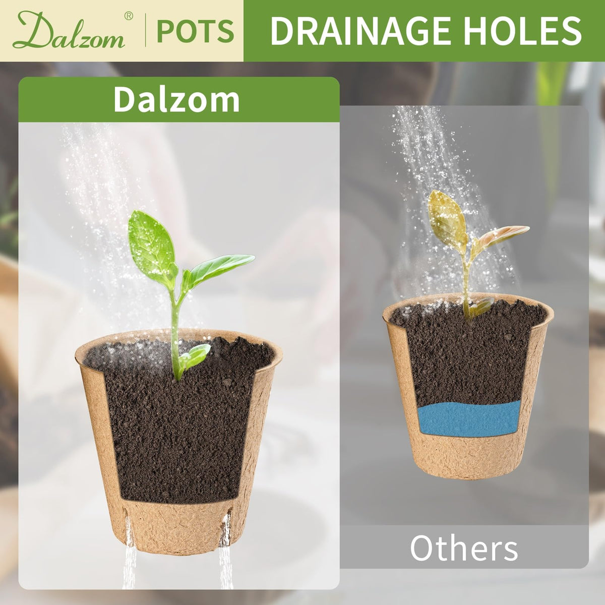 Dalzom biodegradable pots from recycled pulp offer eco-friendly gardening