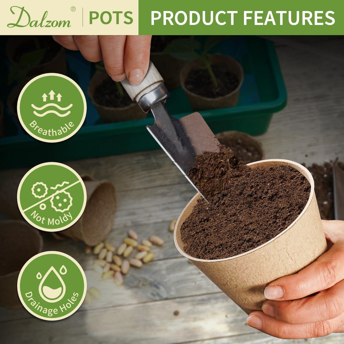 Pots with drainage holes support healthy moisture balance for seedlings.