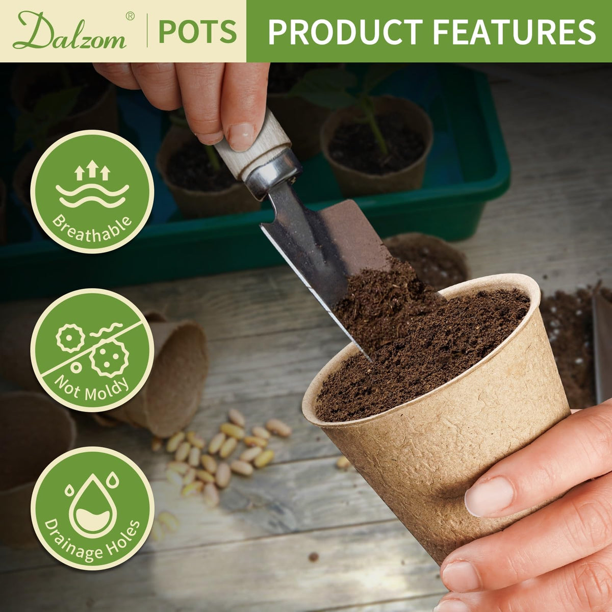 Dalzom plant labels help organize seedlings during transplanting
