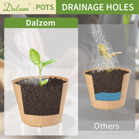 Biodegradable pulp pots can be planted directly into soil.