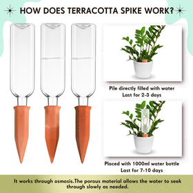 Dandat plant watering device setup shows an easy, slow-release system in use.
