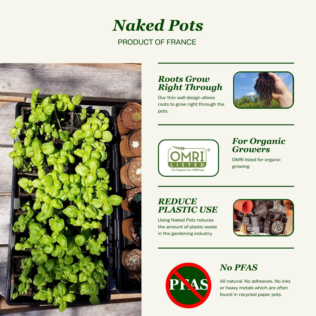 Daniel's Plants biodegradable seed starter pot 3in promotes direct soil planting
