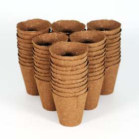 Daniel's Plants pots with enhanced drainage for healthy root growth