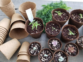 Daniel's Plants naked pot OMRI listed label indicating organic suitability
