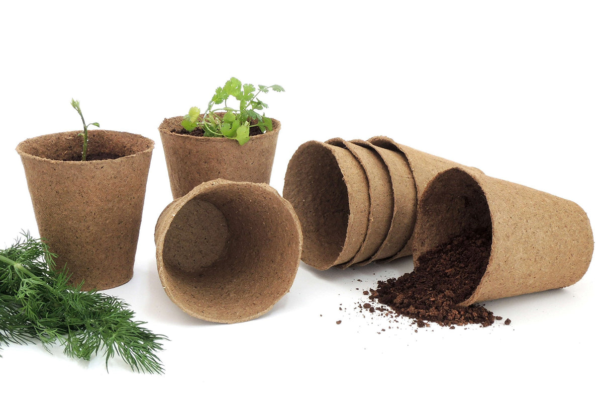 Daniel's Plants naked pot peat free eco friendly seed starter