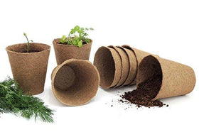 Daniel's Plants natural spruce fibre pot made from forestry byproducts