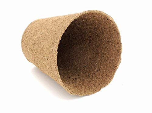 Daniel's Plants peat-free seed starter pot supports eco-friendly gardening