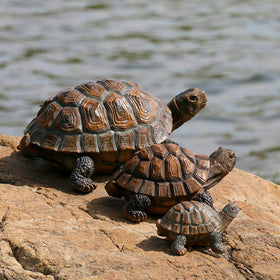 Danmu tortoise statue makes a thoughtful gift for nature lovers.