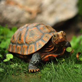 Danmu tortoise garden statue in a serene pose for yard charm.