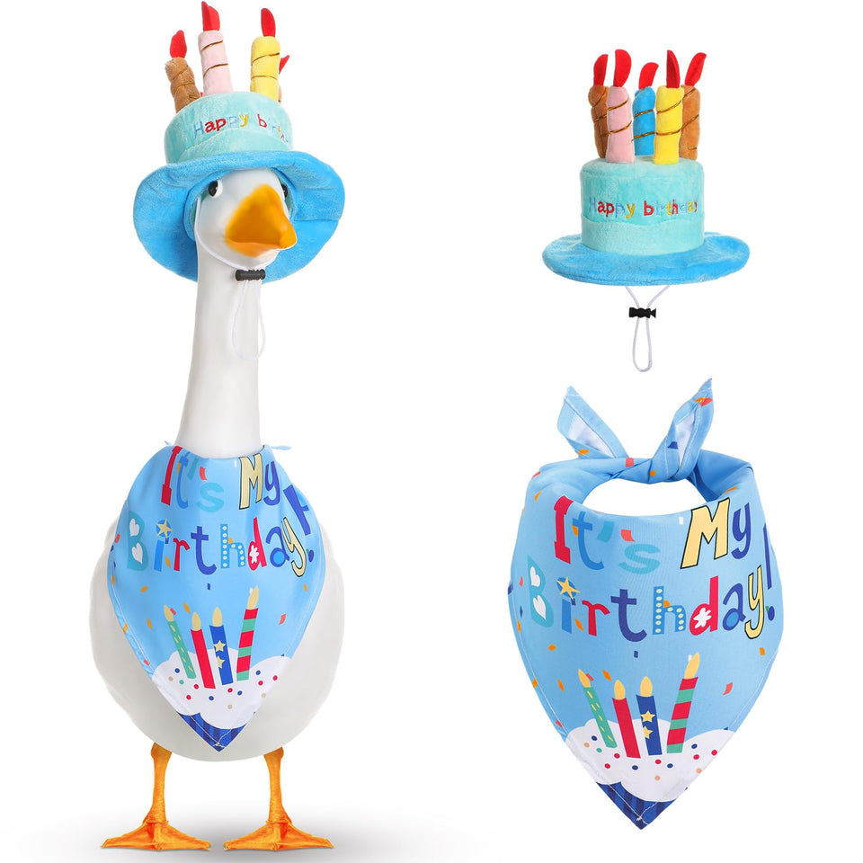 Dansydaisy happy birthday goose outfit blue hat enhances festive lawn decor.