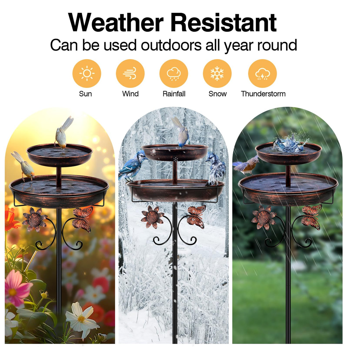 Daoeny bird bath in use as birds bathe and observe in backyard