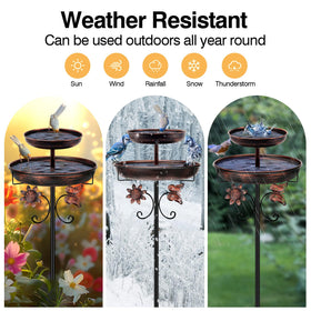 Daoeny bird bath in use as birds bathe and observe in backyard