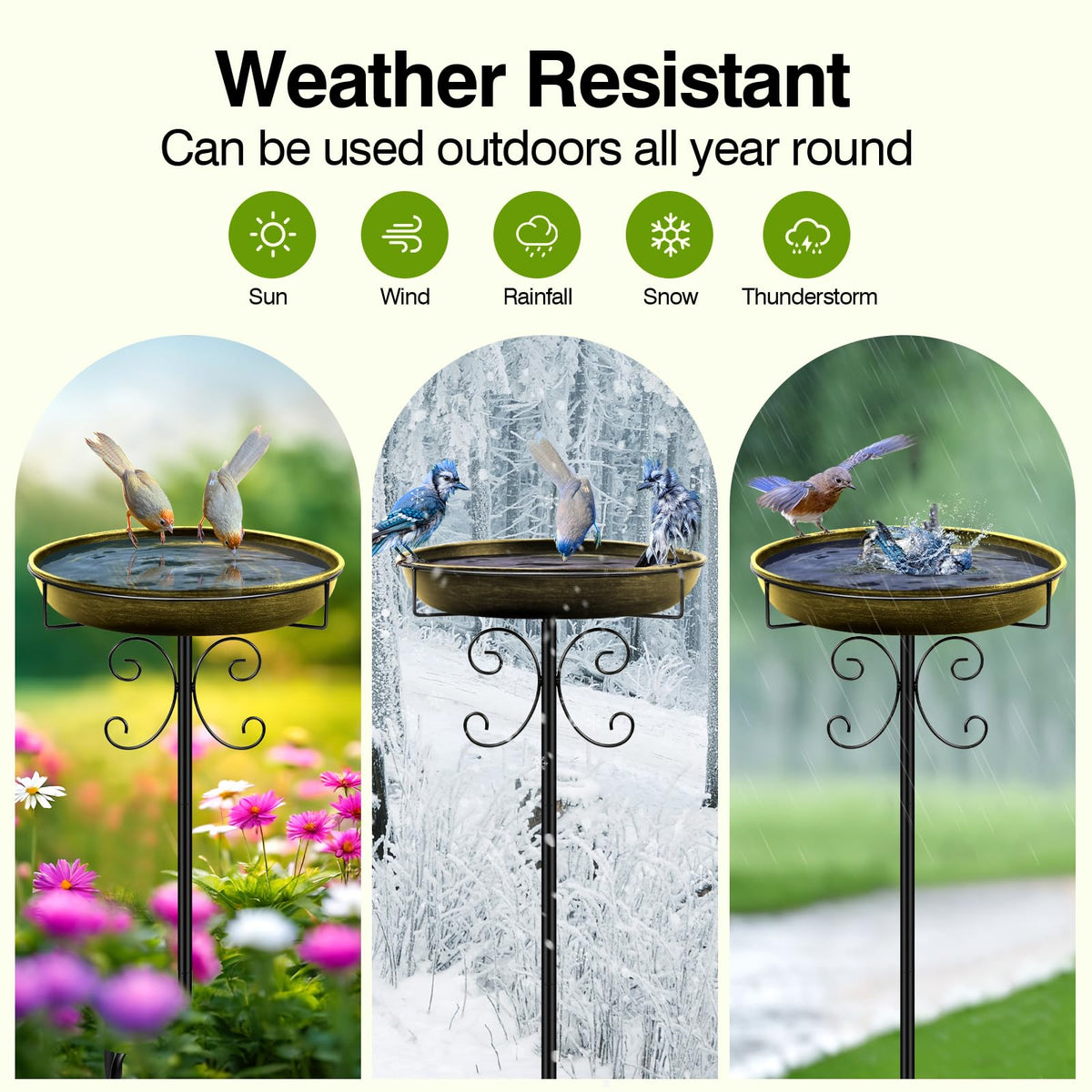 Daoeny detachable-bowl enables simple cleaning and refilling routines.