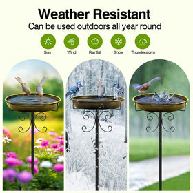 Daoeny detachable-bowl enables simple cleaning and refilling routines.