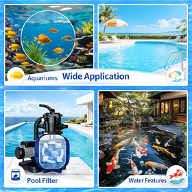 Dapclca easy-maintenance scene highlights reduced backwash.