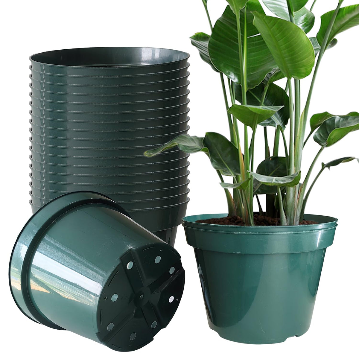 DAPERCI RooTrimmer 8in pot side view shows sturdy walls for long-term use
