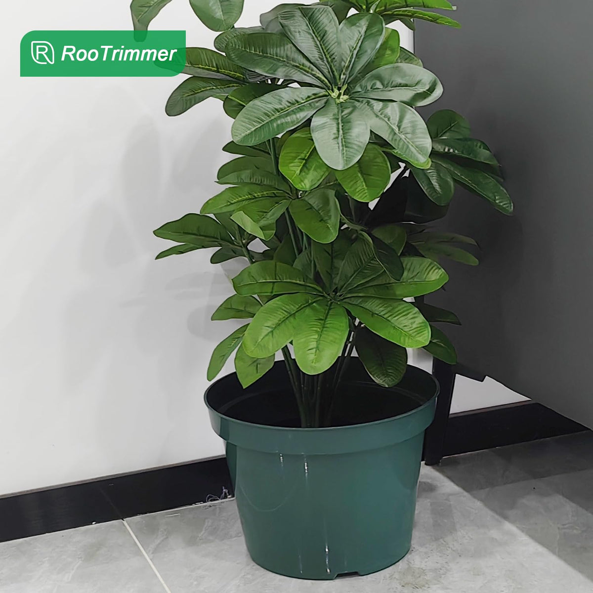DAPERCI RooTrimmer 8in pot with soil demonstrates easy planting and watering