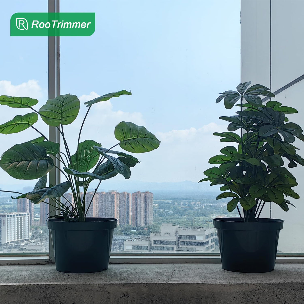DAPERCI RooTrimmer green color pots boost garden aesthetics