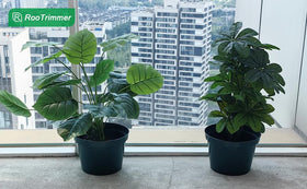 DAPERCI RooTrimmer 8in pot for indoor outdoor use in any garden