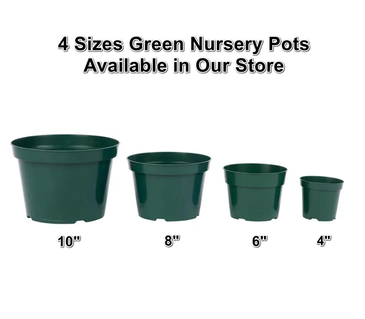 DAPERCI 6 inch pot suitable for herbs, jade plants, and small houseplants.