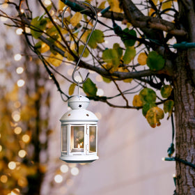 Dapute space-saving hook enables hanging plants indoors or on balcony.
