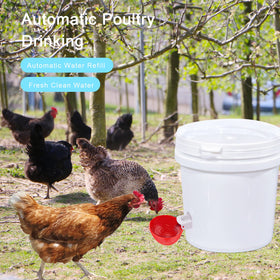 Darcvds waterer cups suit chickens ducks geese and turkeys