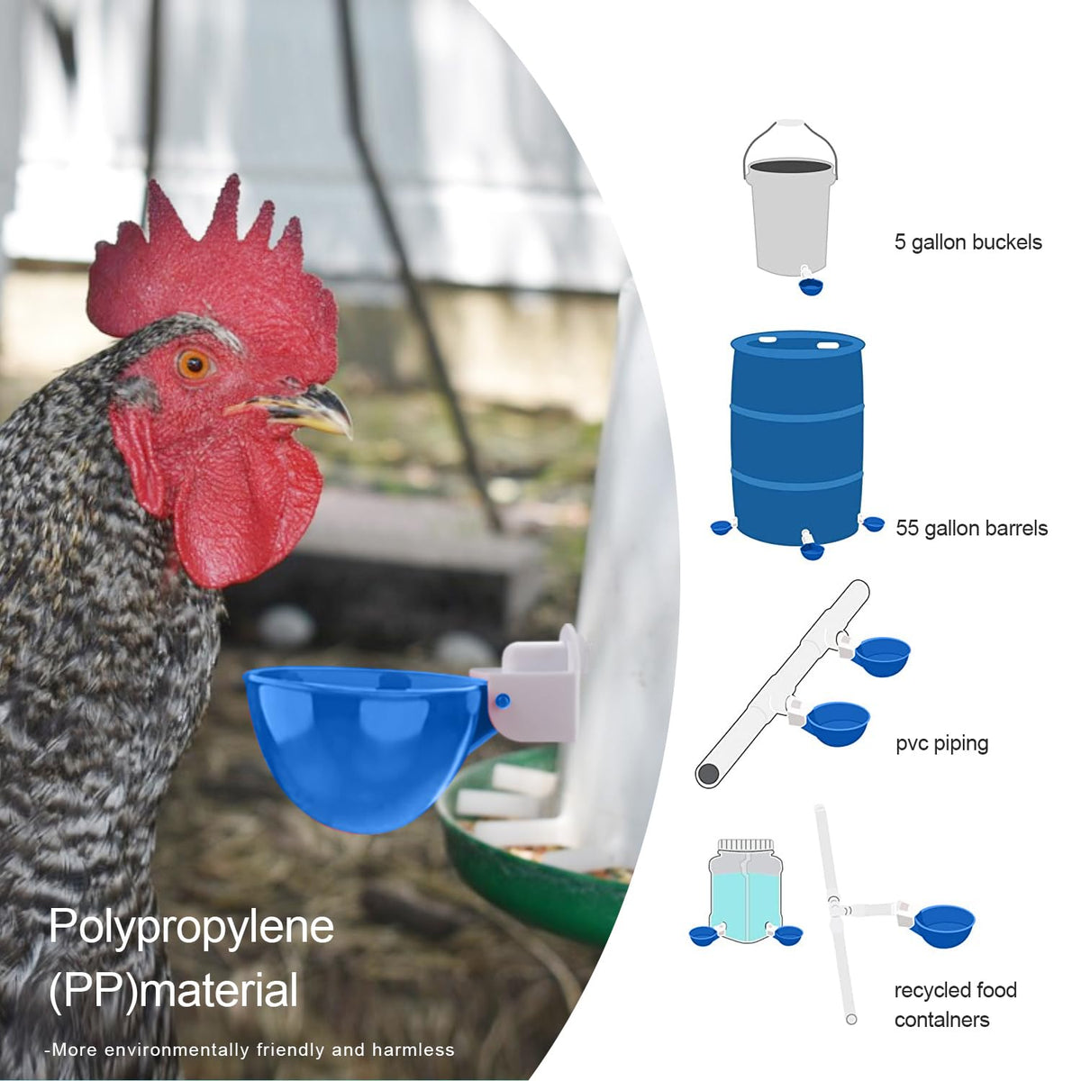Darcvds wide 3-inch cup opening for chickens and ducks